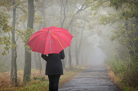 轻雨漫步