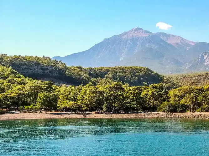 森林和海洋