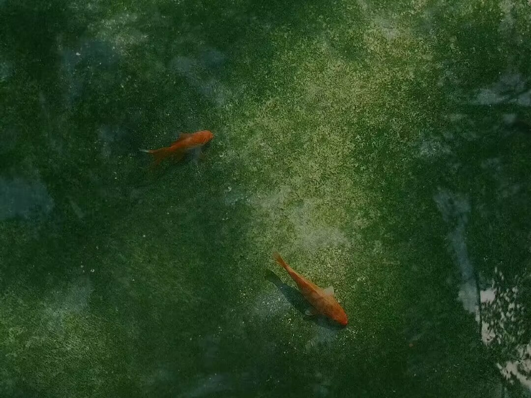 备用背景